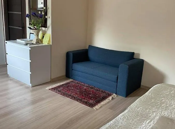 Close To Business Center * Wilno